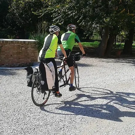 Al Canton Di Design