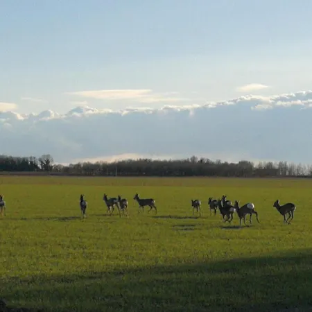 Vakantieboerderij Al Canton Di Design San Michele al Tagliamento